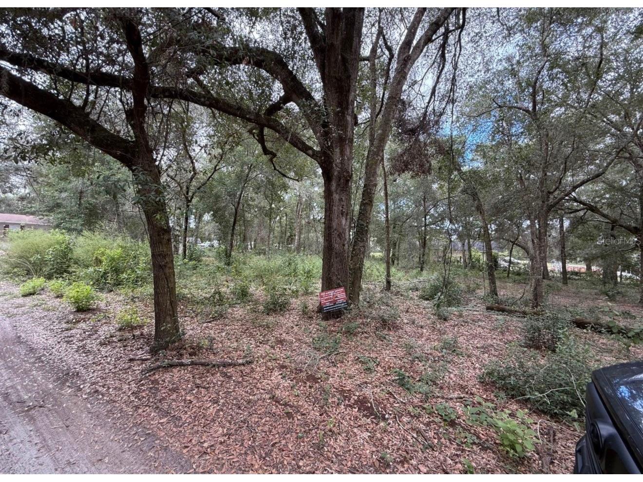 10185 Creekfield Road Brooksville FL 34613 W7881870 image1