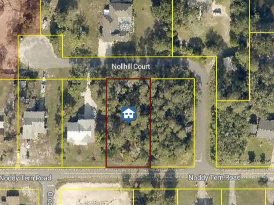 10185 Noddy Tern Road Weeki Wachee FL 34613 W7885726 image1