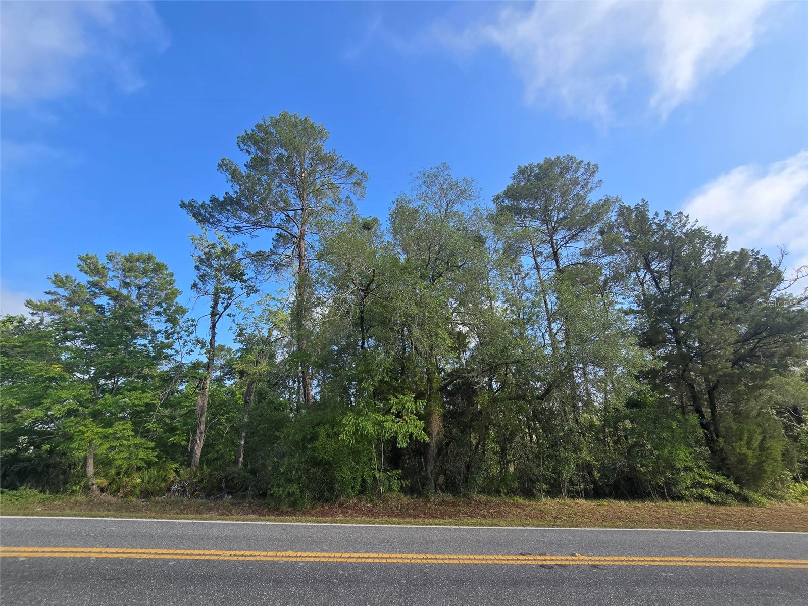 10185 Noddy Tern Road Weeki Wachee FL 34613 W7885726 image3
