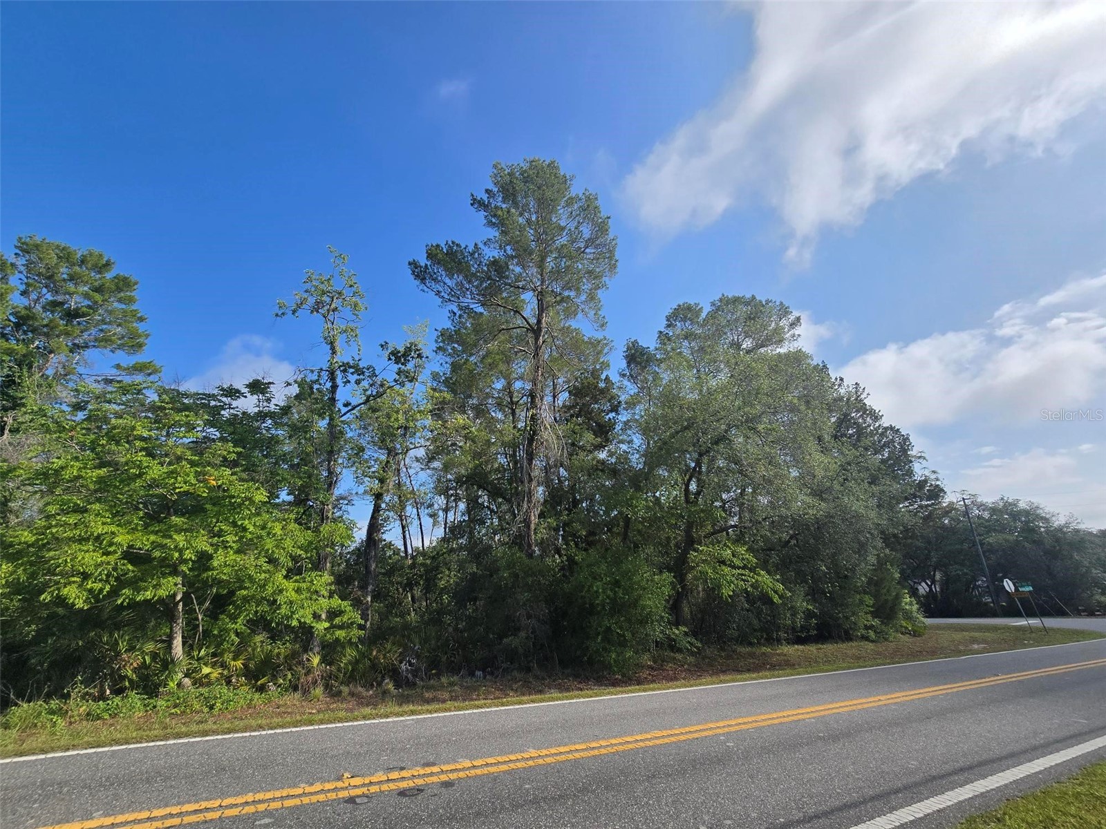10185 Noddy Tern Road Weeki Wachee FL 34613 W7885726 image4
