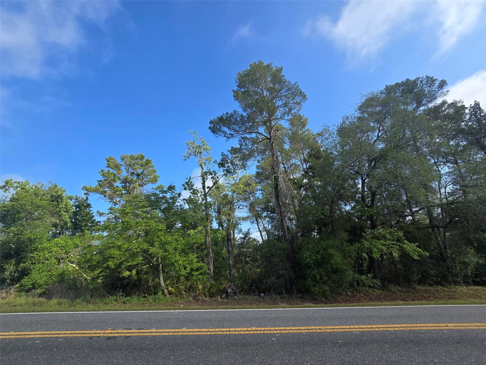 10185 Noddy Tern Road Weeki Wachee FL 34613 W7885726 image5