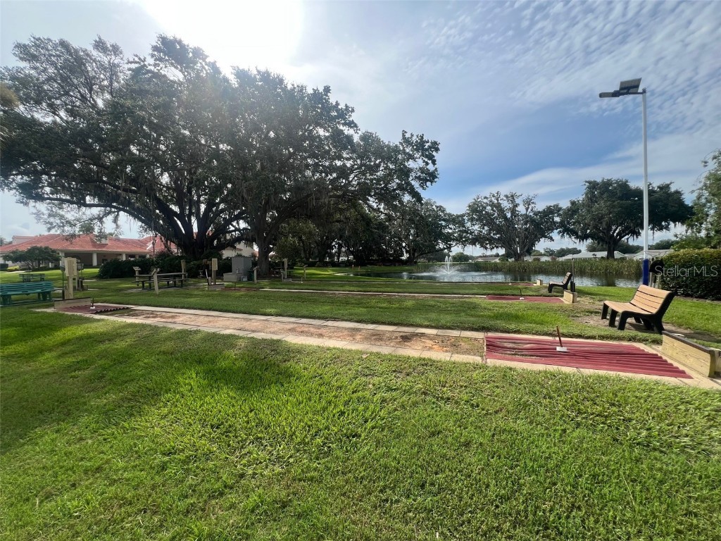 10185 SE 175th Lane Summerfield FL 34491 O6325610 image51