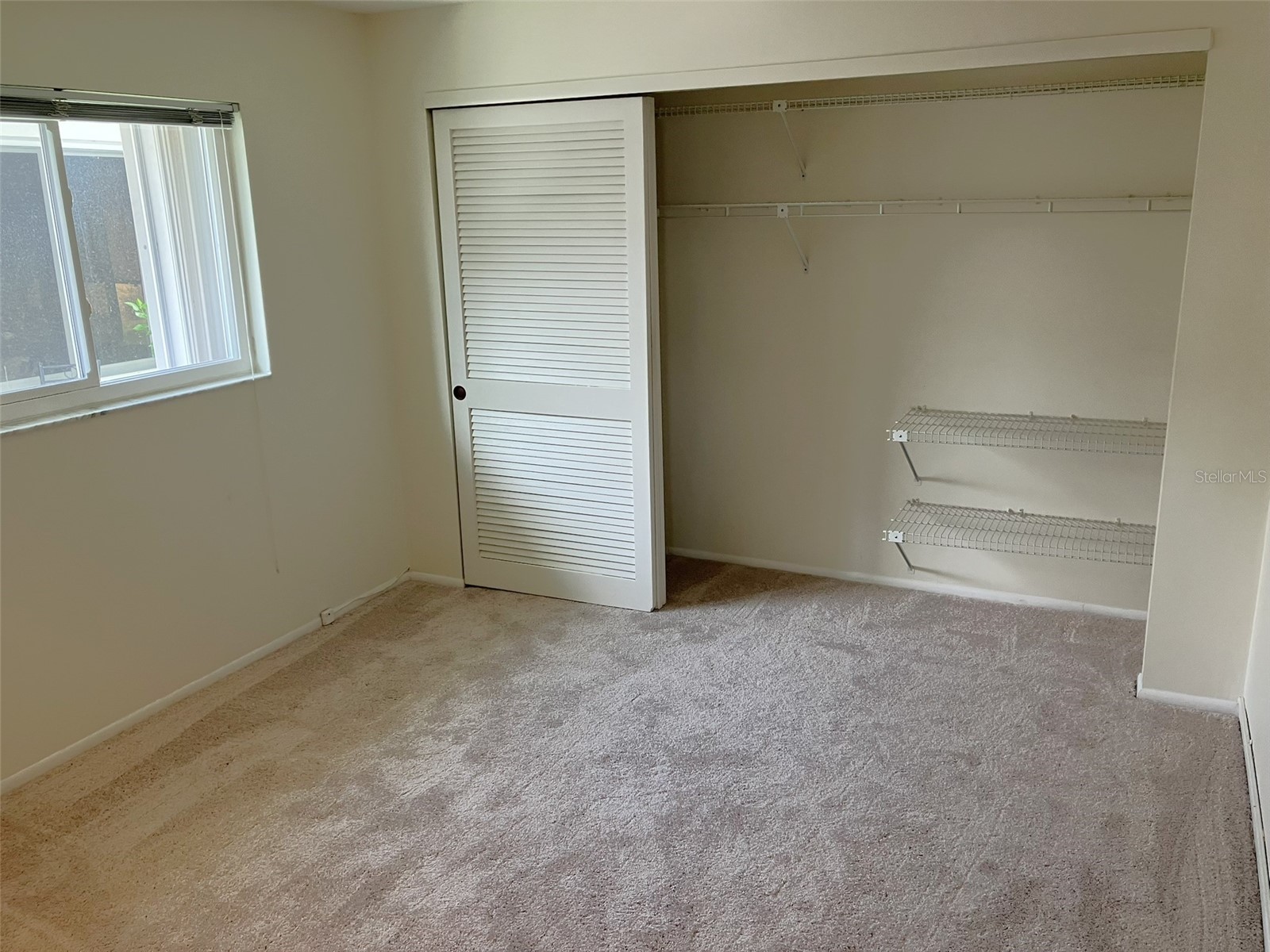 10186 45th Way N Pinellas Park FL 33782 TB8514920 image19