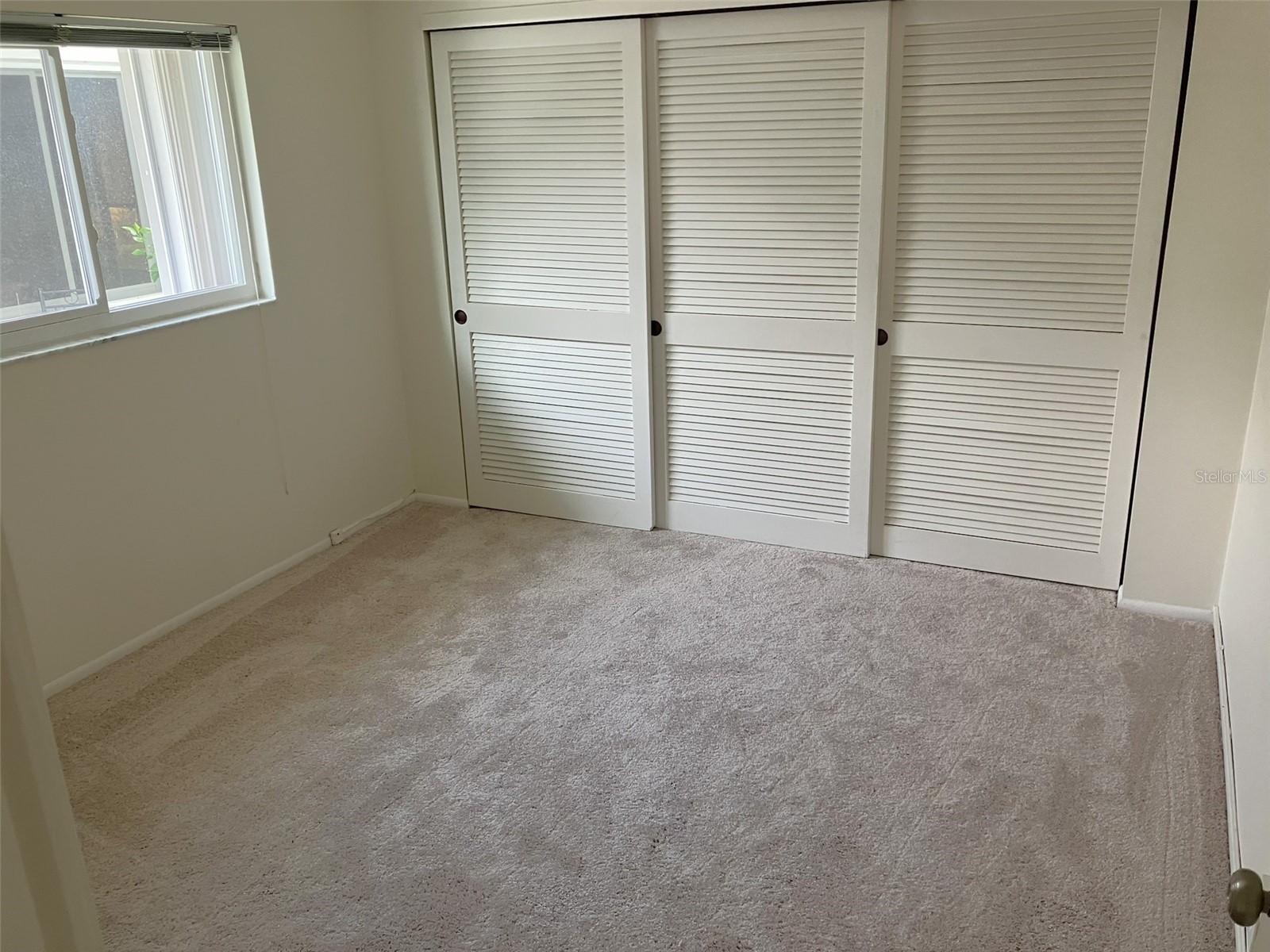 10186 45th Way N Pinellas Park FL 33782 TB8514920 image20