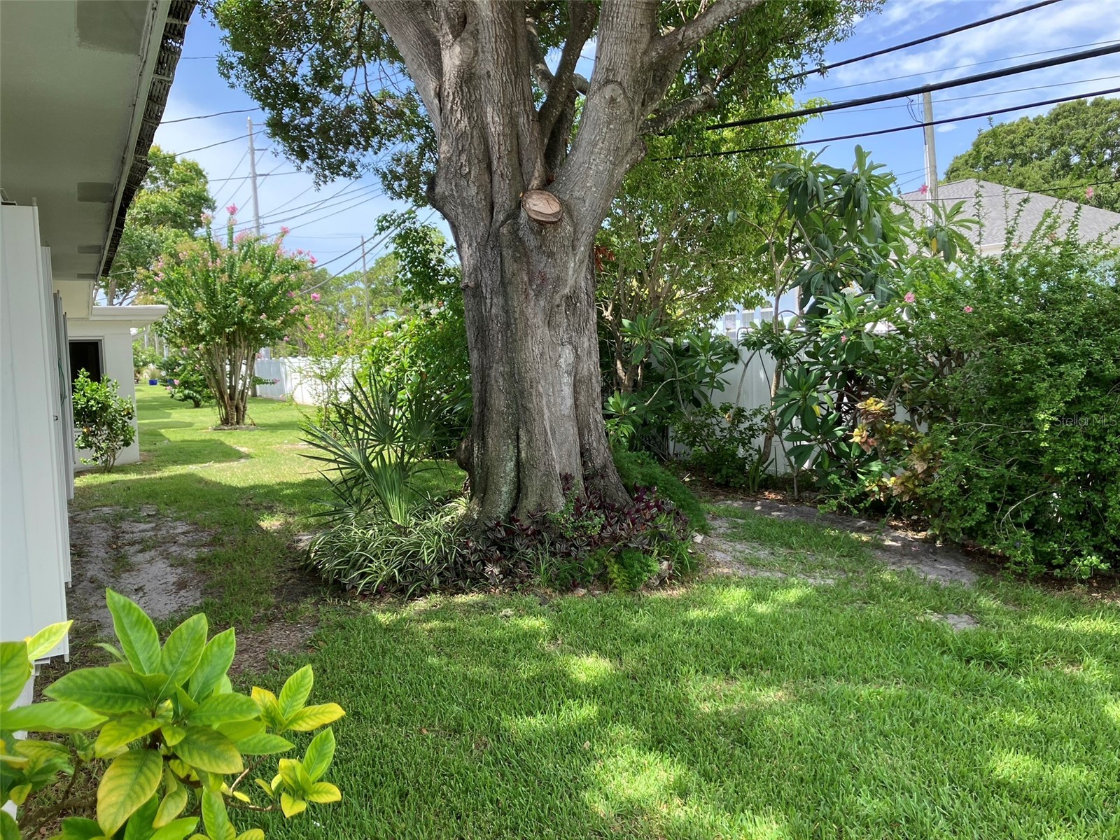 10186 45th Way N Pinellas Park FL 33782 TB8514920 image3