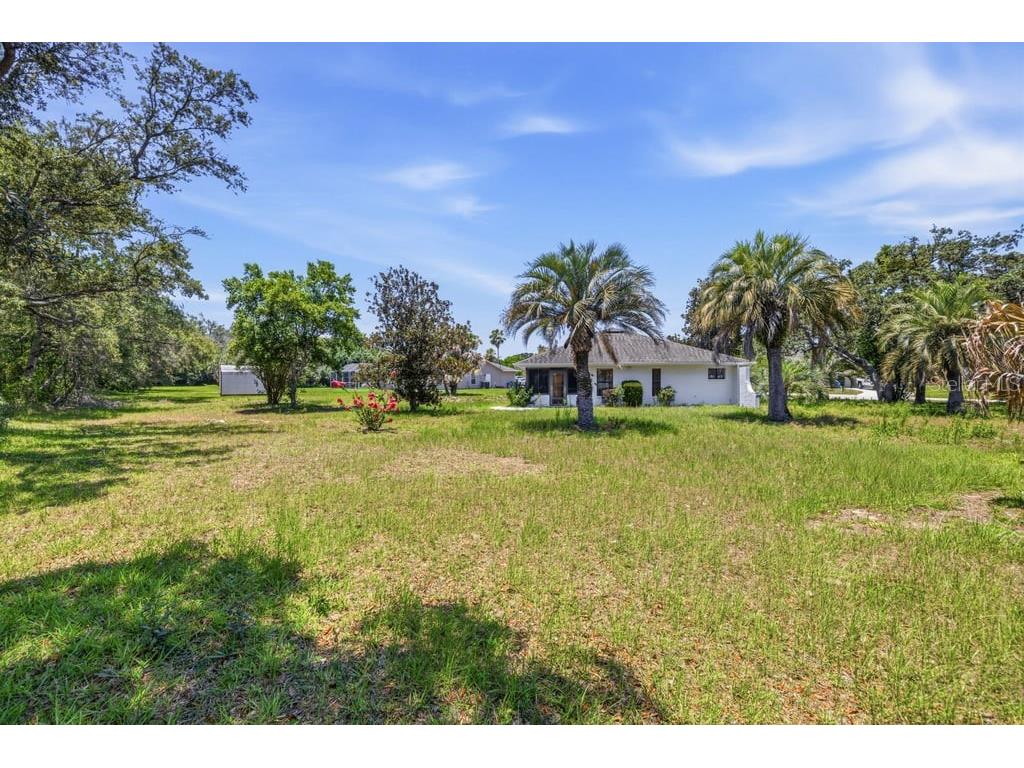 10186 Sleepy Willow Court Spring Hill FL 34608 TB8517714 image30