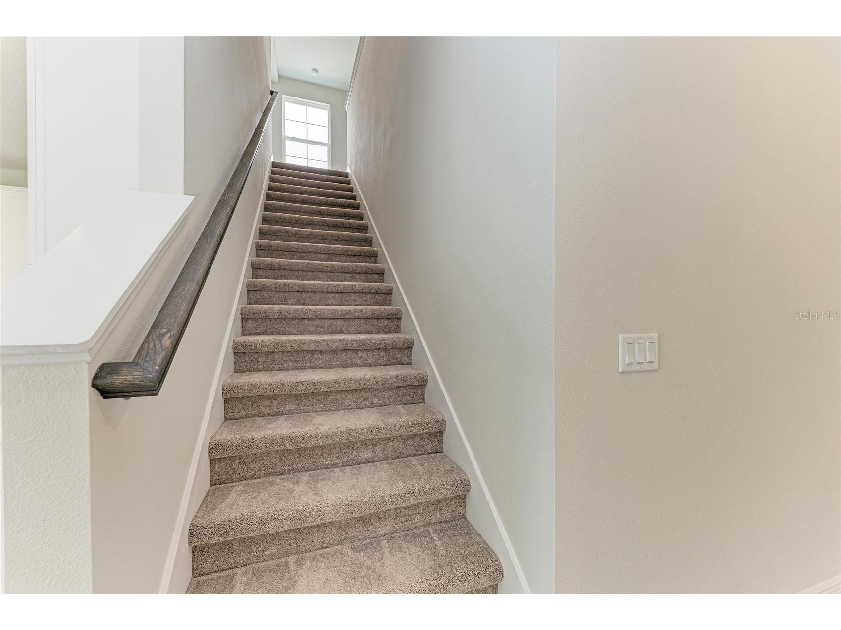 10186 Surrey Rose Drive San Antonio FL 33576 TB8456830 image23
