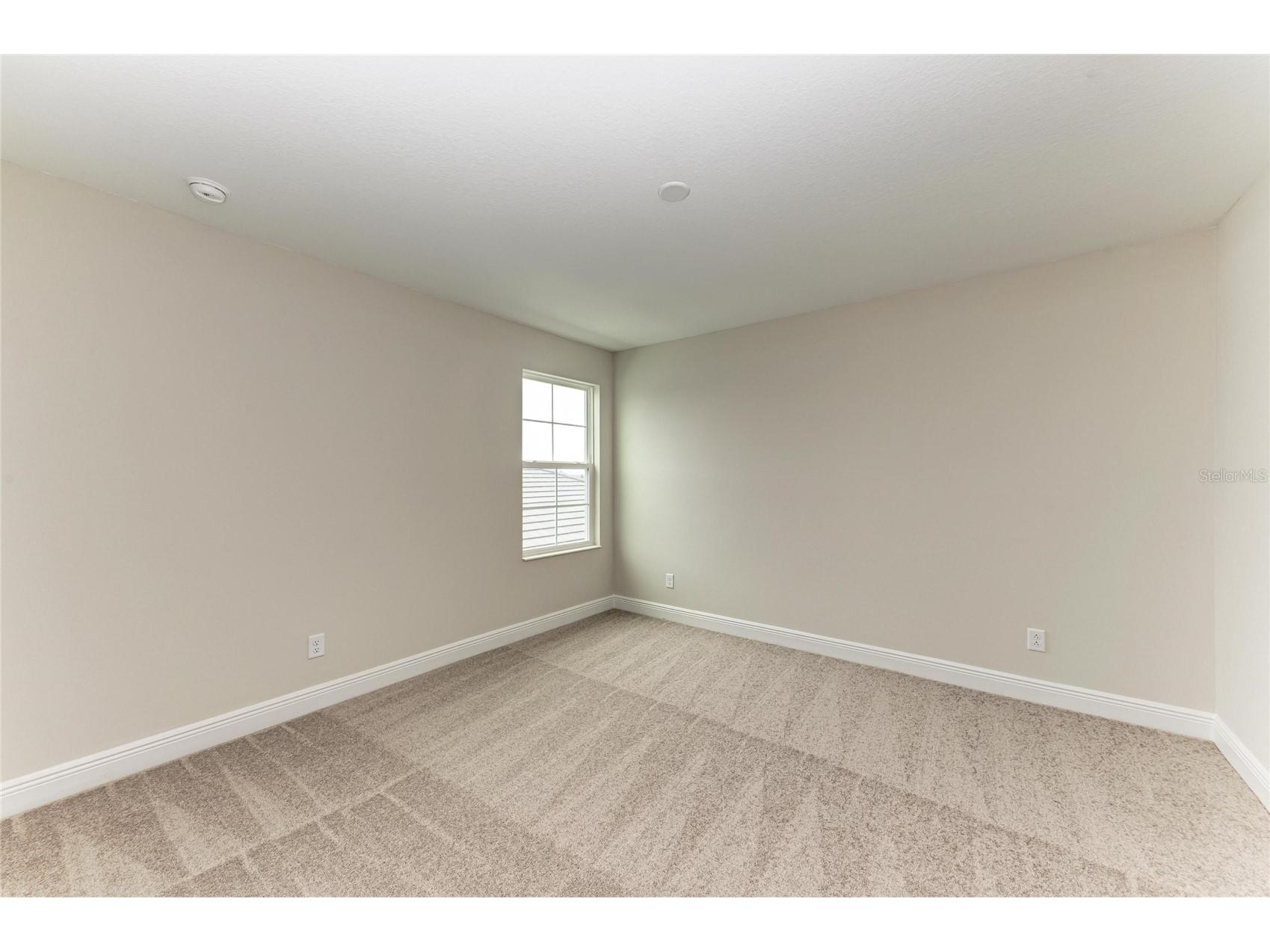 10186 Surrey Rose Drive San Antonio FL 33576 TB8456830 image24