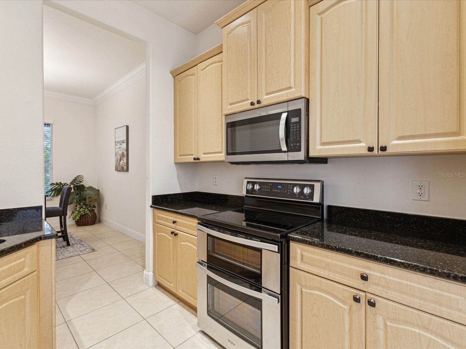 10187 Holly Berry Drive Weeki Wachee FL 34613 W7875264 image23