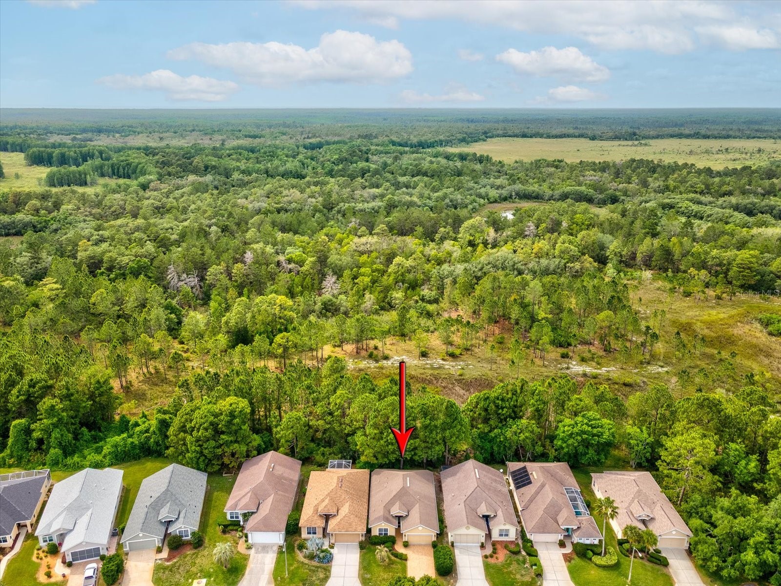 10187 Holly Berry Drive Weeki Wachee FL 34613 W7875264 image41