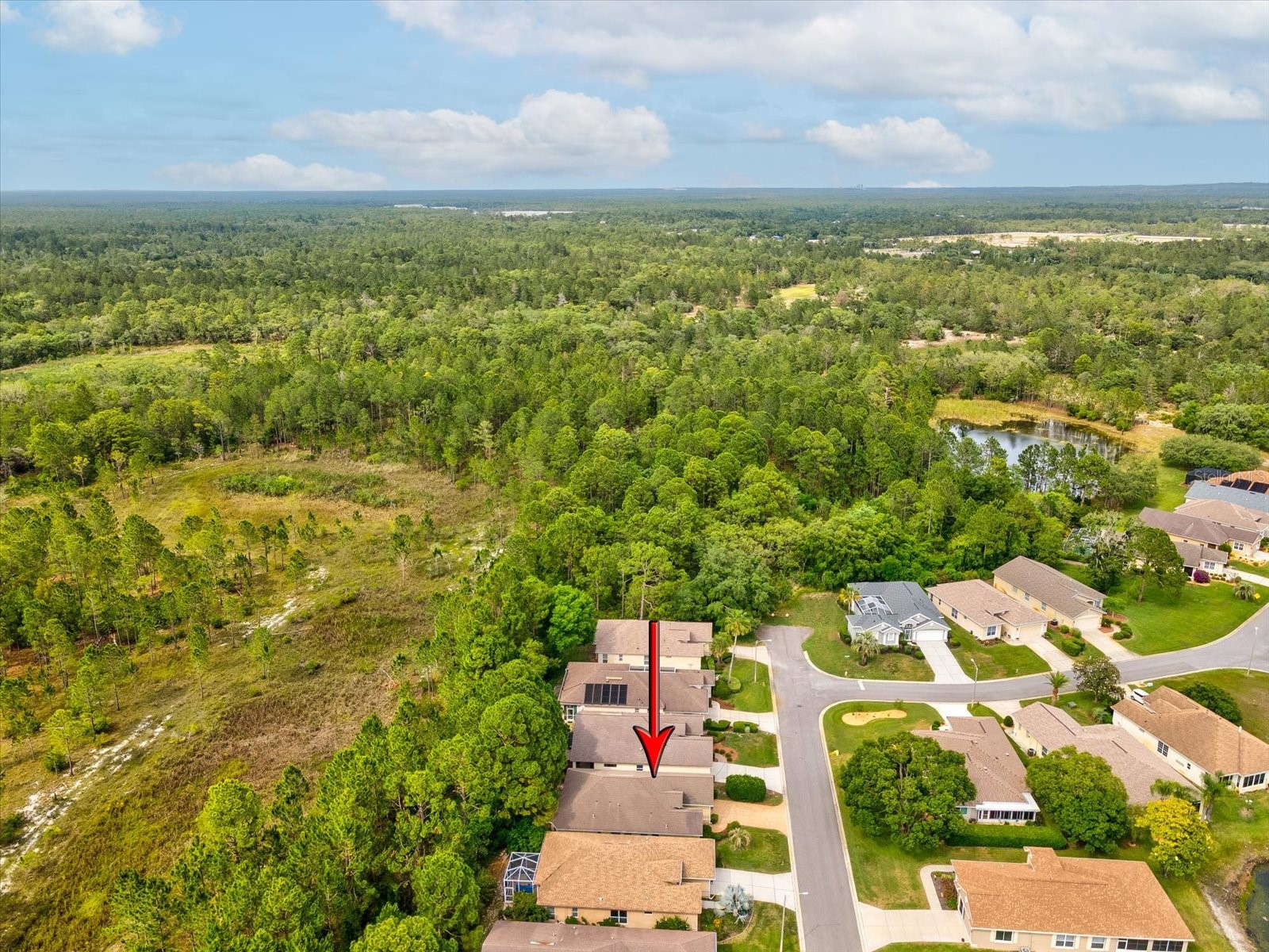 10187 Holly Berry Drive Weeki Wachee FL 34613 W7875264 image42
