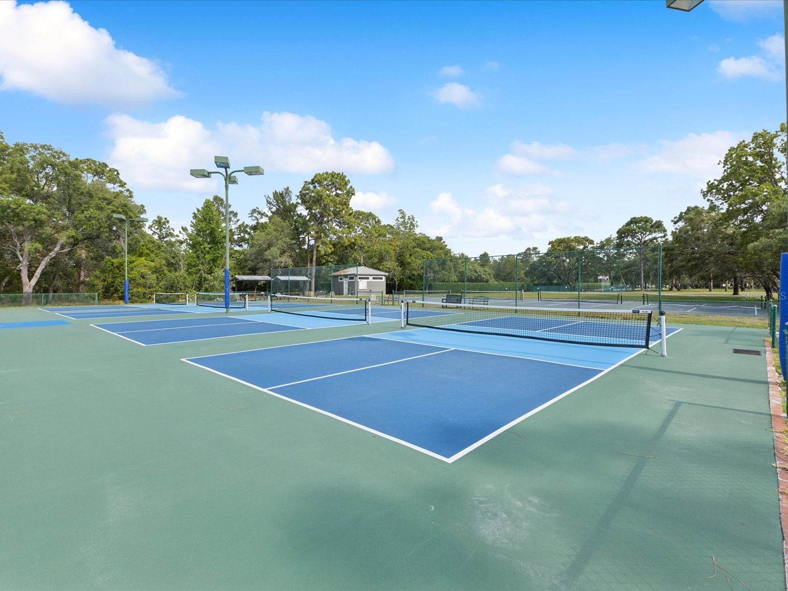 10187 Holly Berry Drive Weeki Wachee FL 34613 W7875264 image78