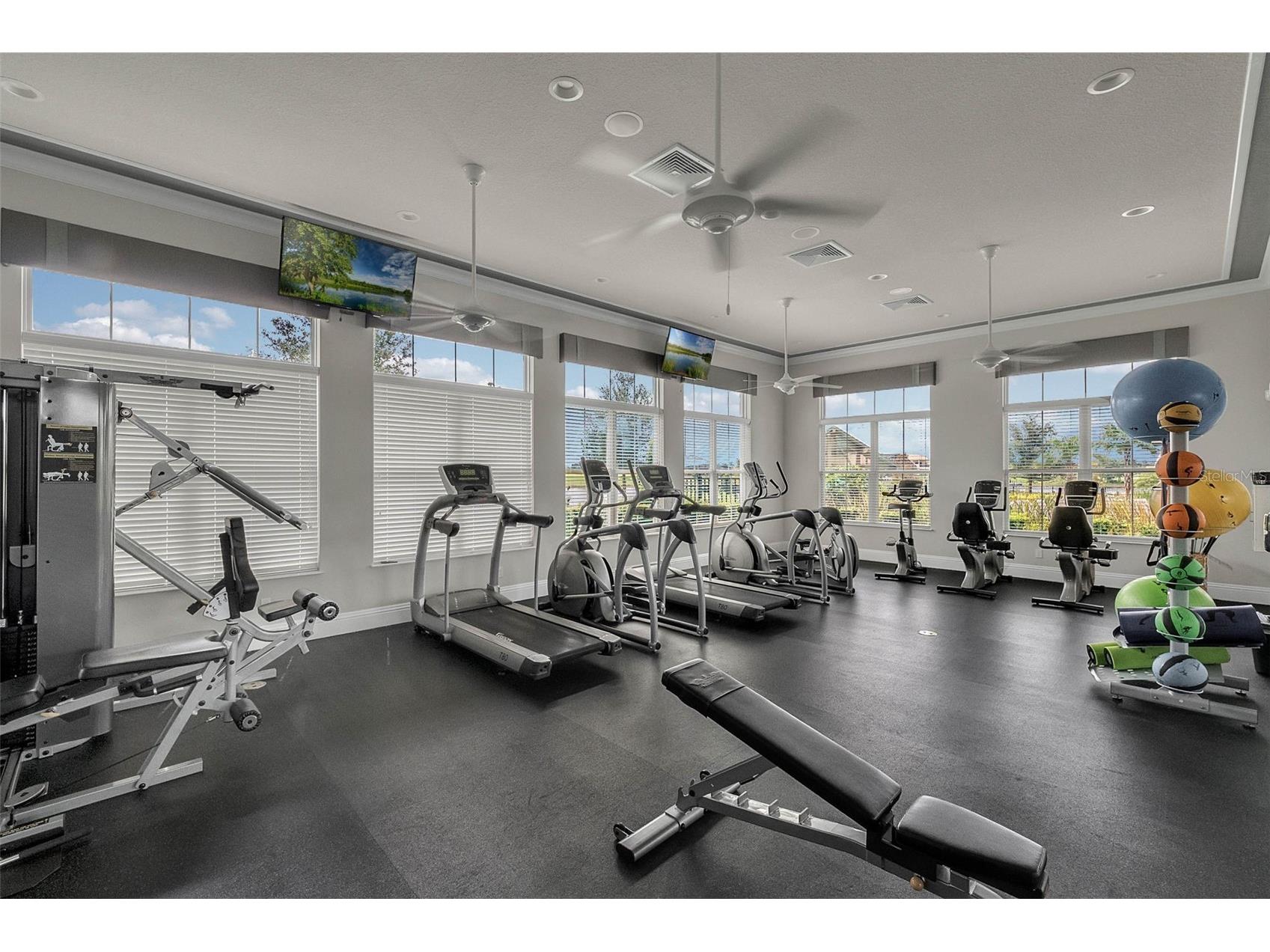 10187 Merrymeeting Bay Drive Winter Garden FL 34787 O6404599 image43