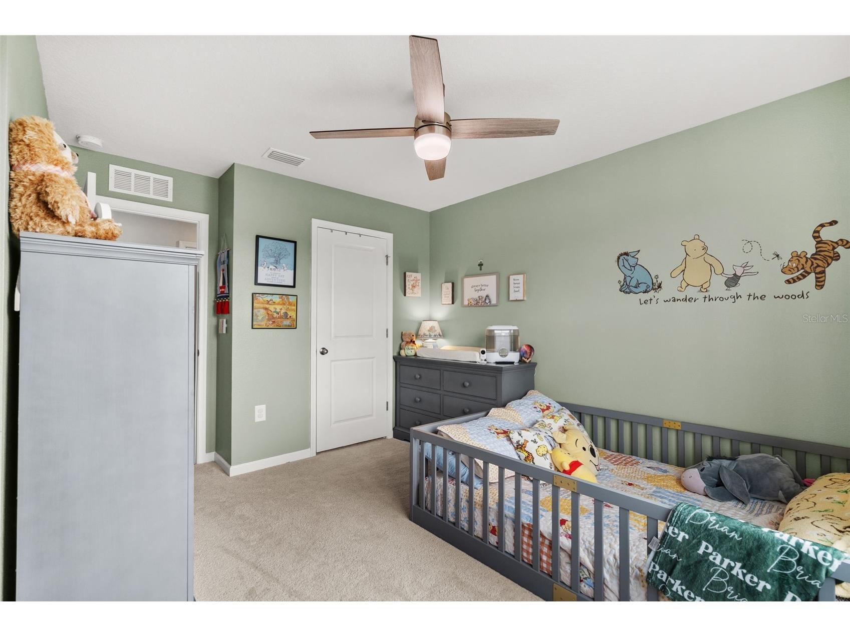 10188 Agave Court Land O Lakes FL 34638 S5142534 image25