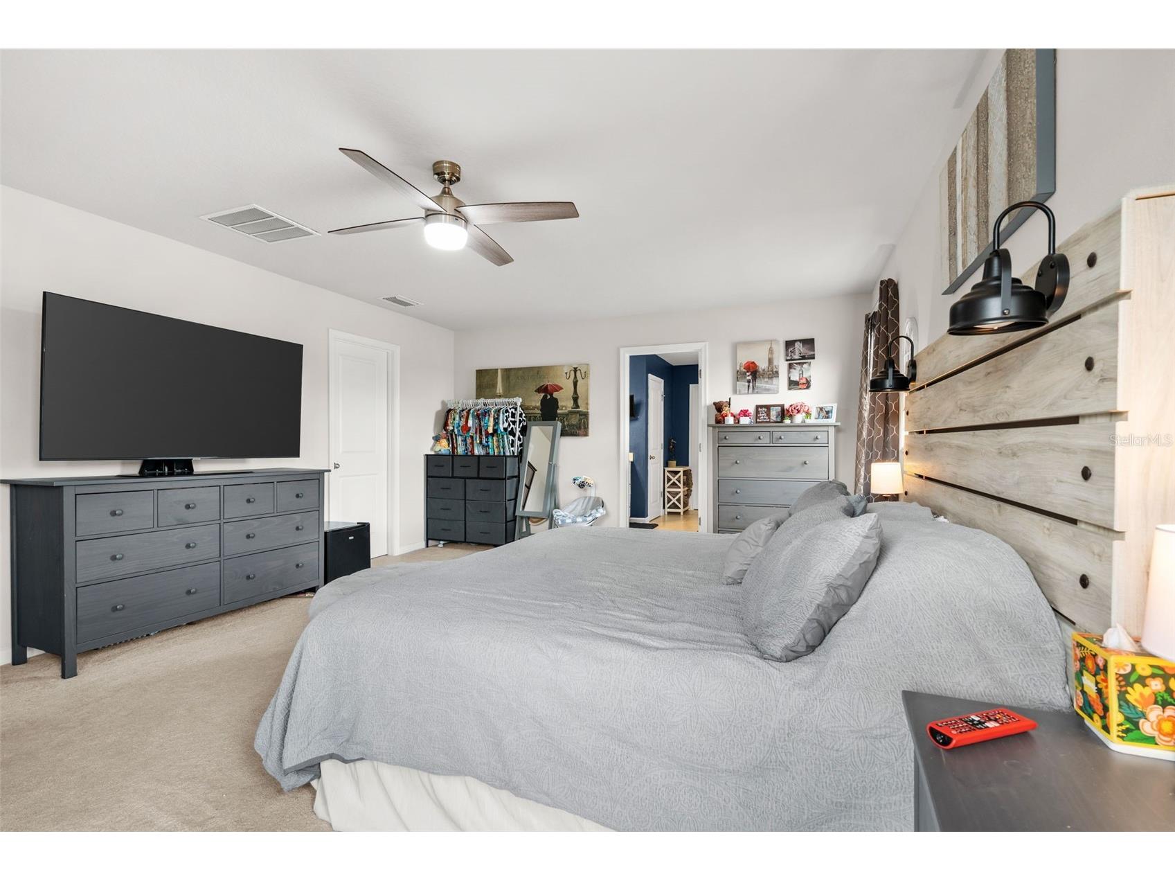 10188 Agave Court Land O Lakes FL 34638 S5142534 image34