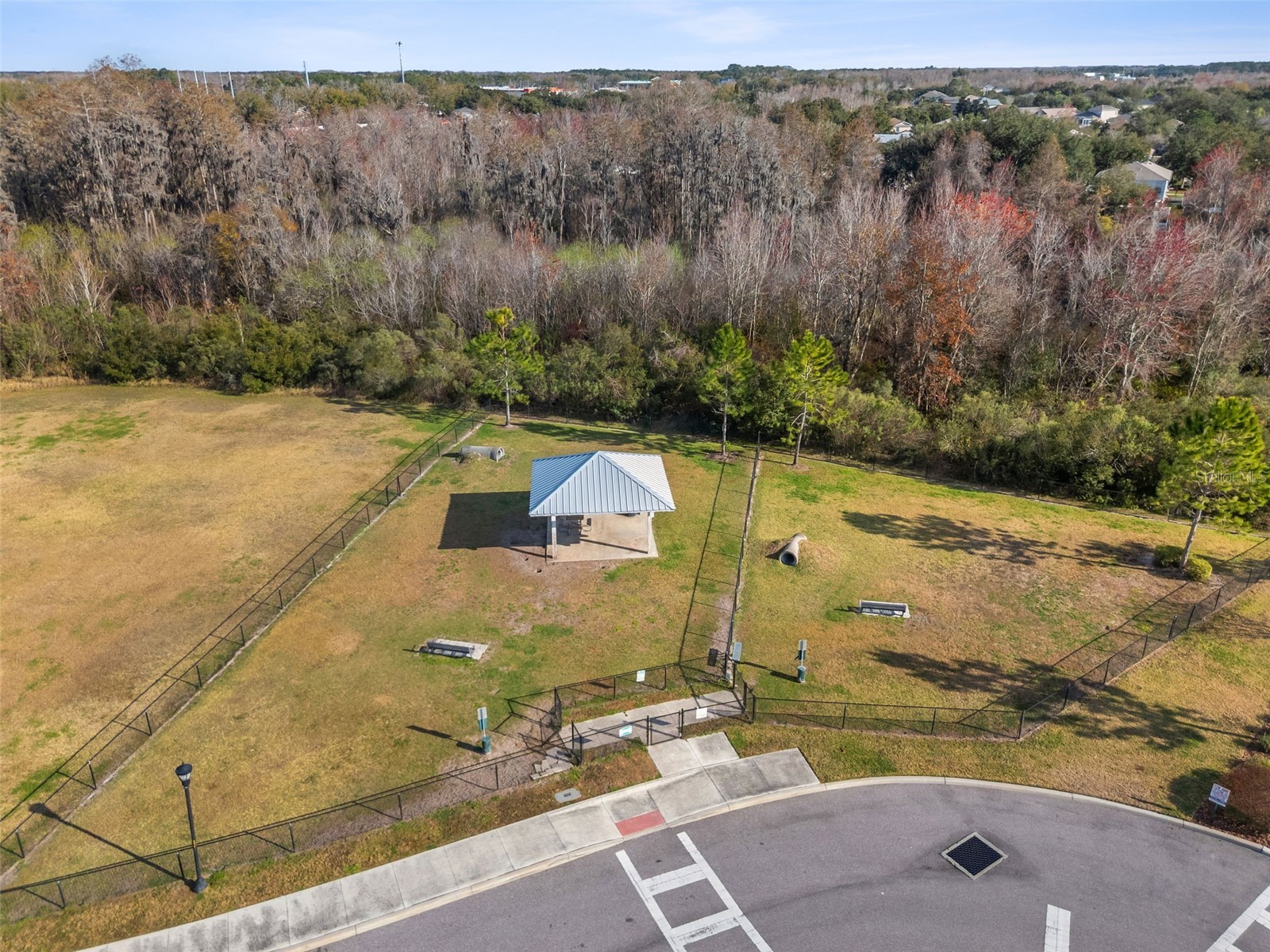 10188 Agave Court Land O Lakes FL 34638 S5142534 image57