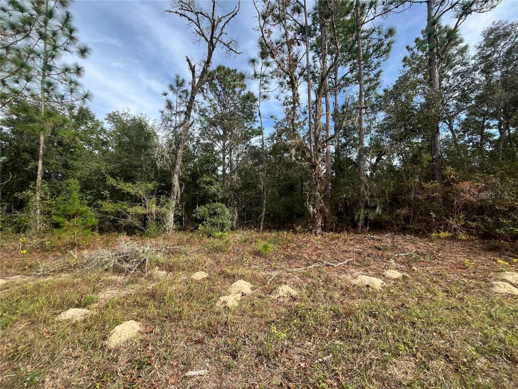 10189 N Jacobson Way Dunnellon FL 34434 OK224627 image1