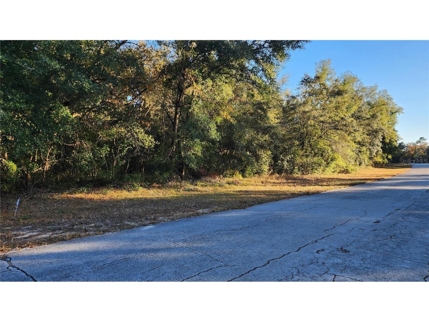 10189 N Sabre Drive Citrus Springs FL 34434 OM691545 image1