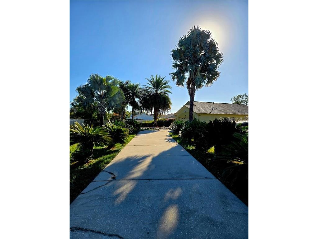 1019 Great Shady Lane Orlando FL 32825 TB8436975 image37