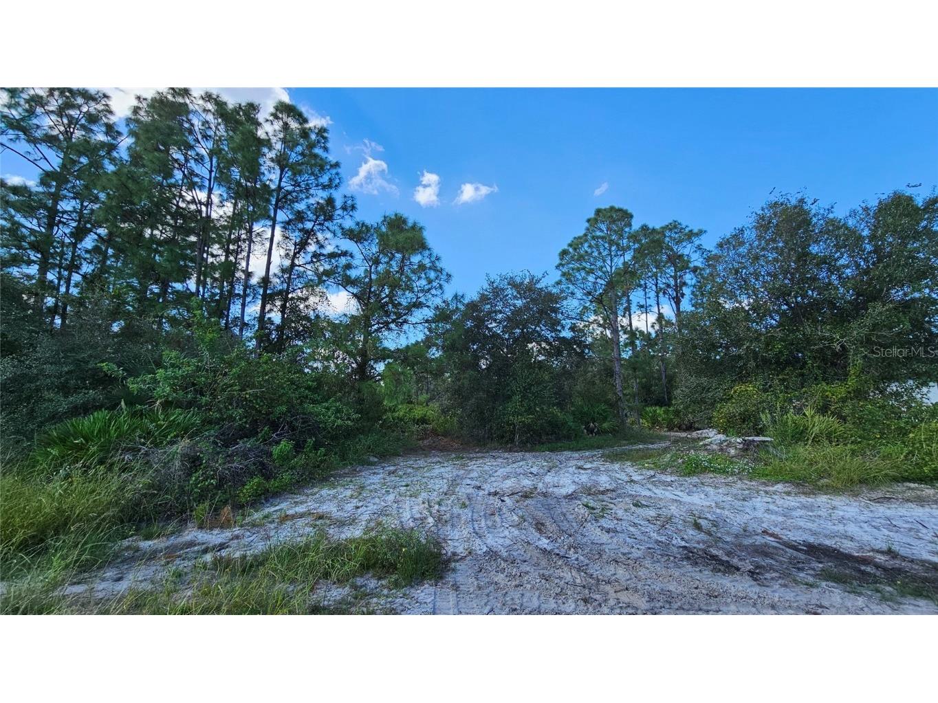 1019 Greenwood Avenue Lehigh Acres FL 33972 A4627118 image1