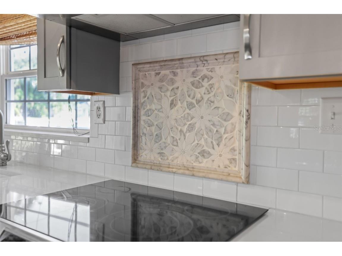 1019 Marine Street Clearwater FL 33755 TB8437959 image9