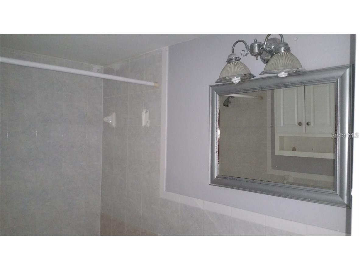1019 Peninsula Road Tarpon Springs FL 34689 W7887046 image12