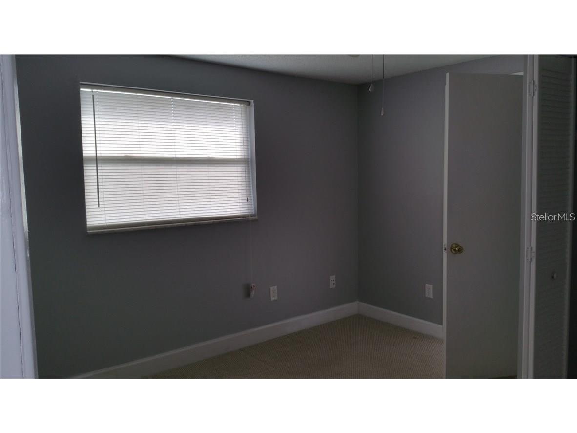 1019 Peninsula Road Tarpon Springs FL 34689 W7887046 image15