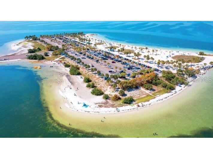 1019 Peninsula Road Tarpon Springs FL 34689 W7887046 image30