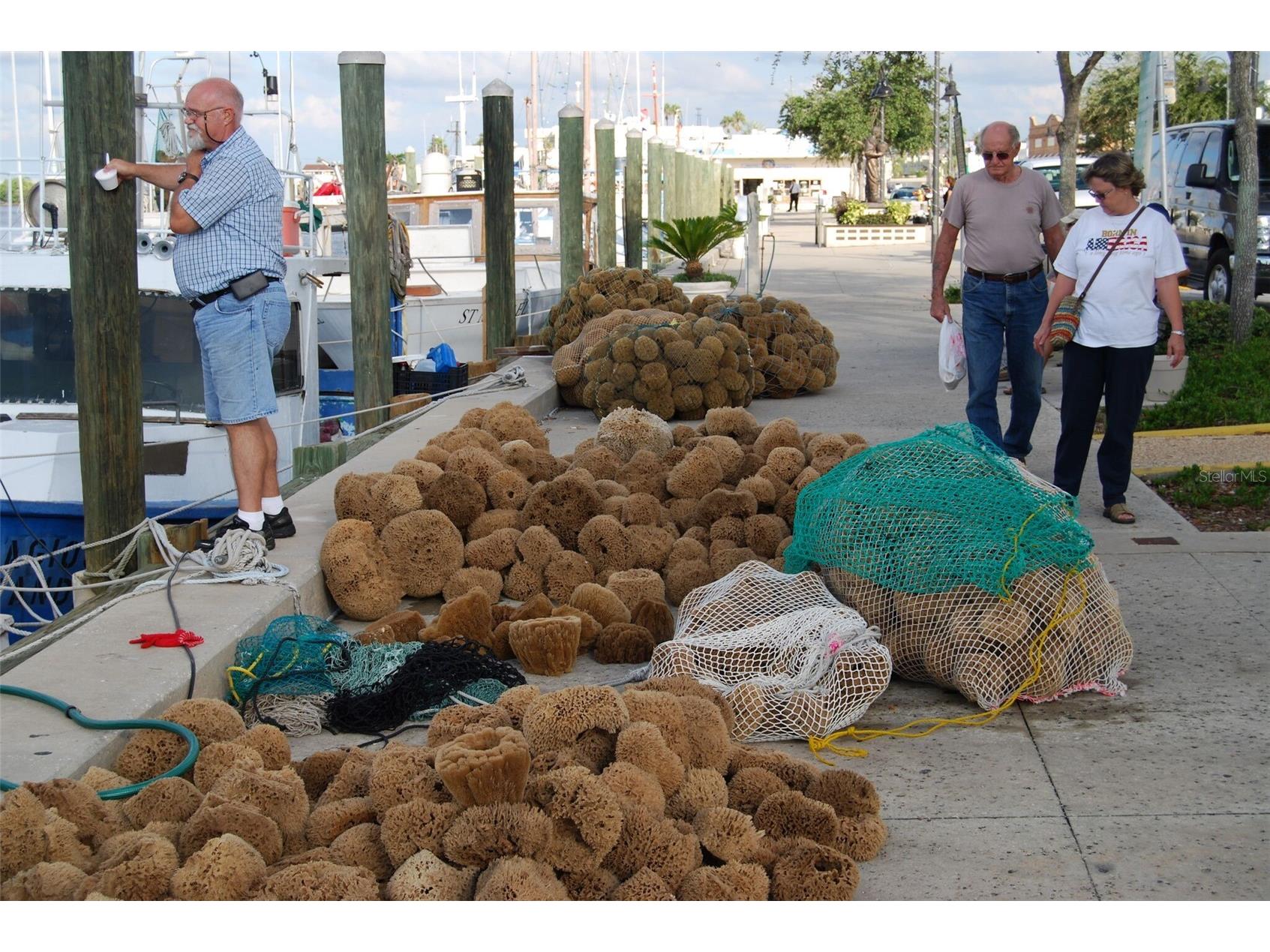1019 Peninsula Road Tarpon Springs FL 34689 W7887046 image32