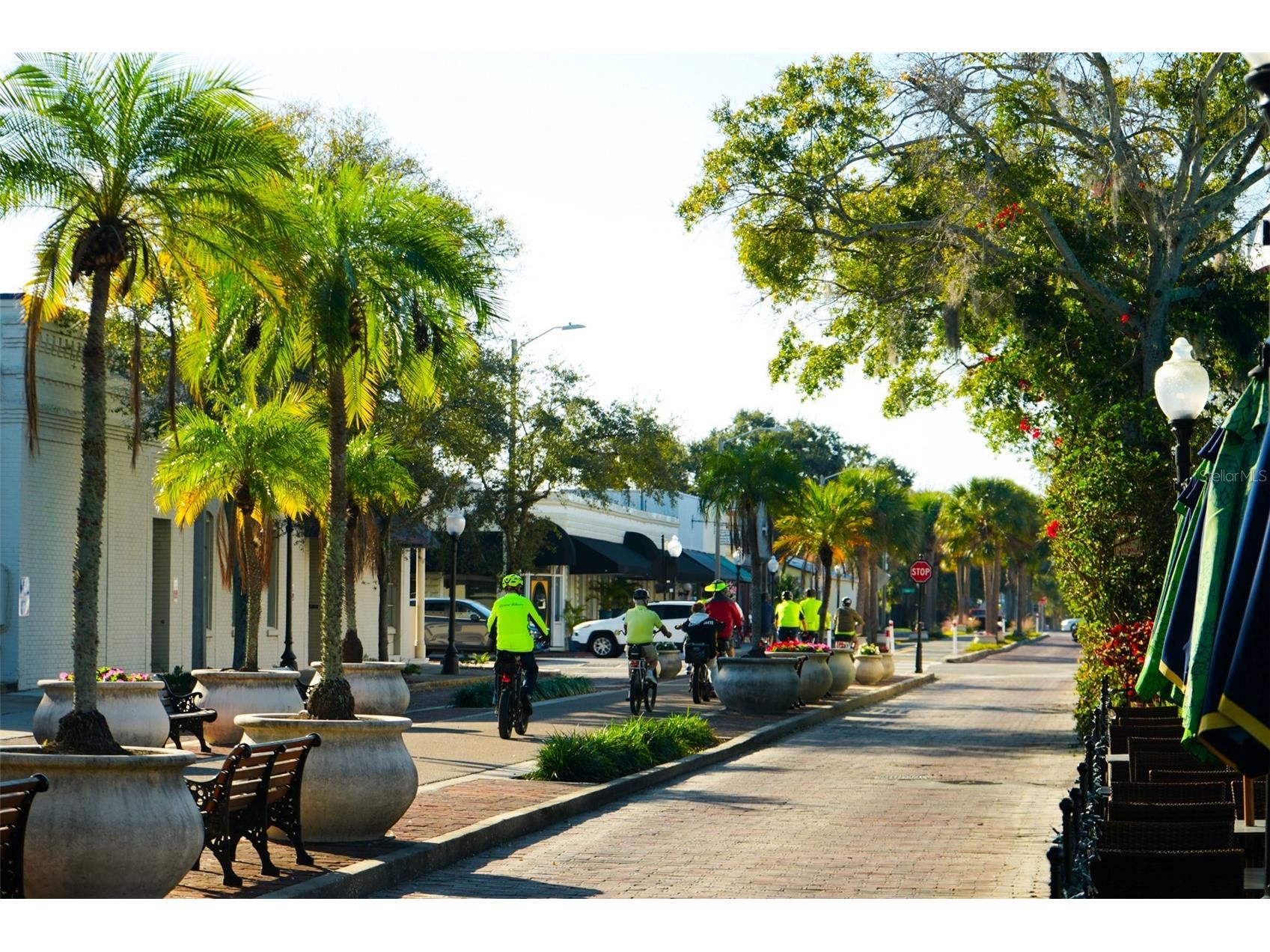 1019 Peninsula Road Tarpon Springs FL 34689 W7887046 image33