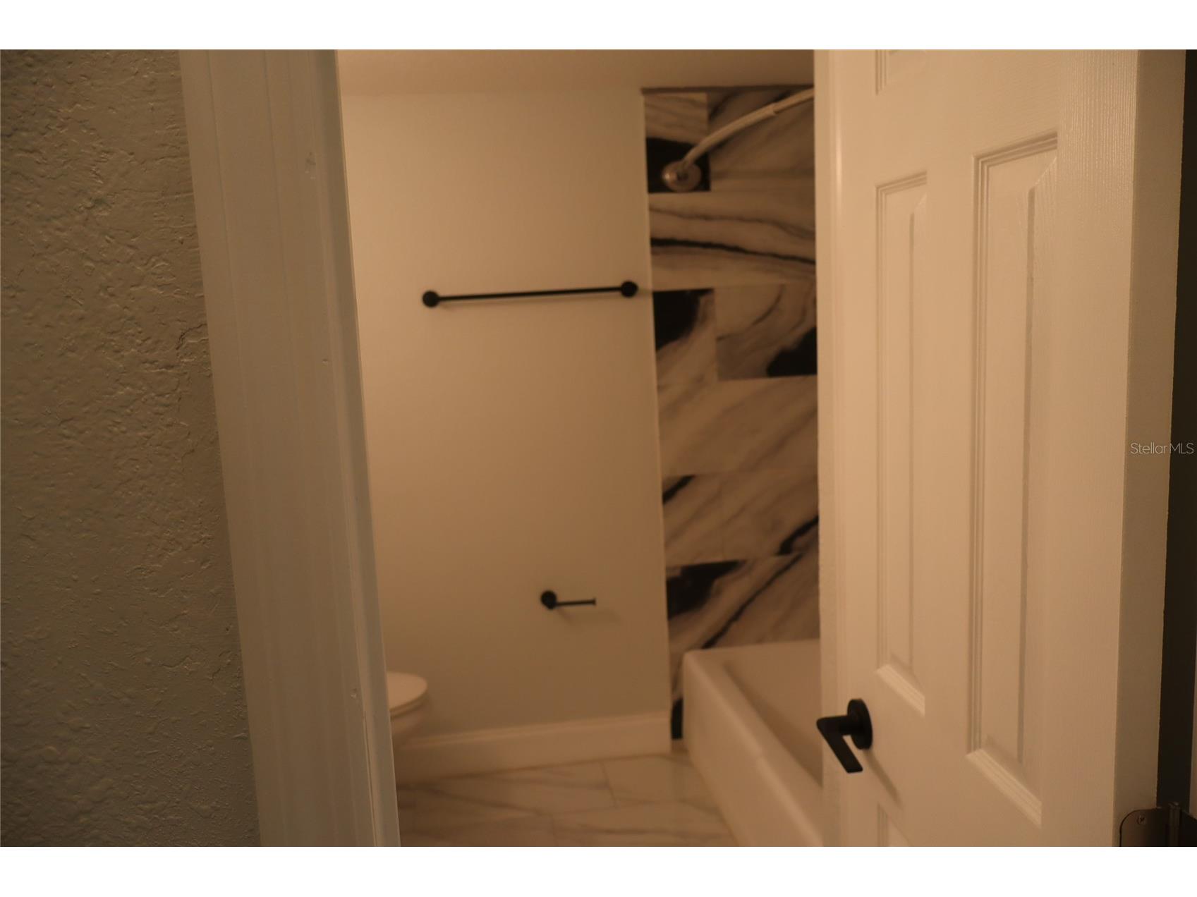 1019 Spindle Palm Way Apollo Beach FL 33572 TB8514547 image29