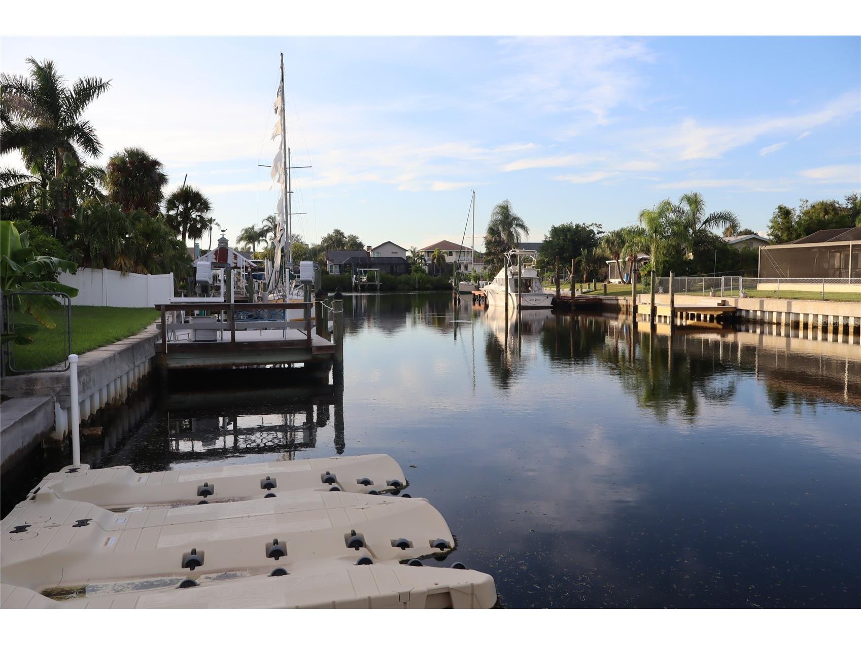 1019 Spindle Palm Way Apollo Beach FL 33572 TB8514547 image65