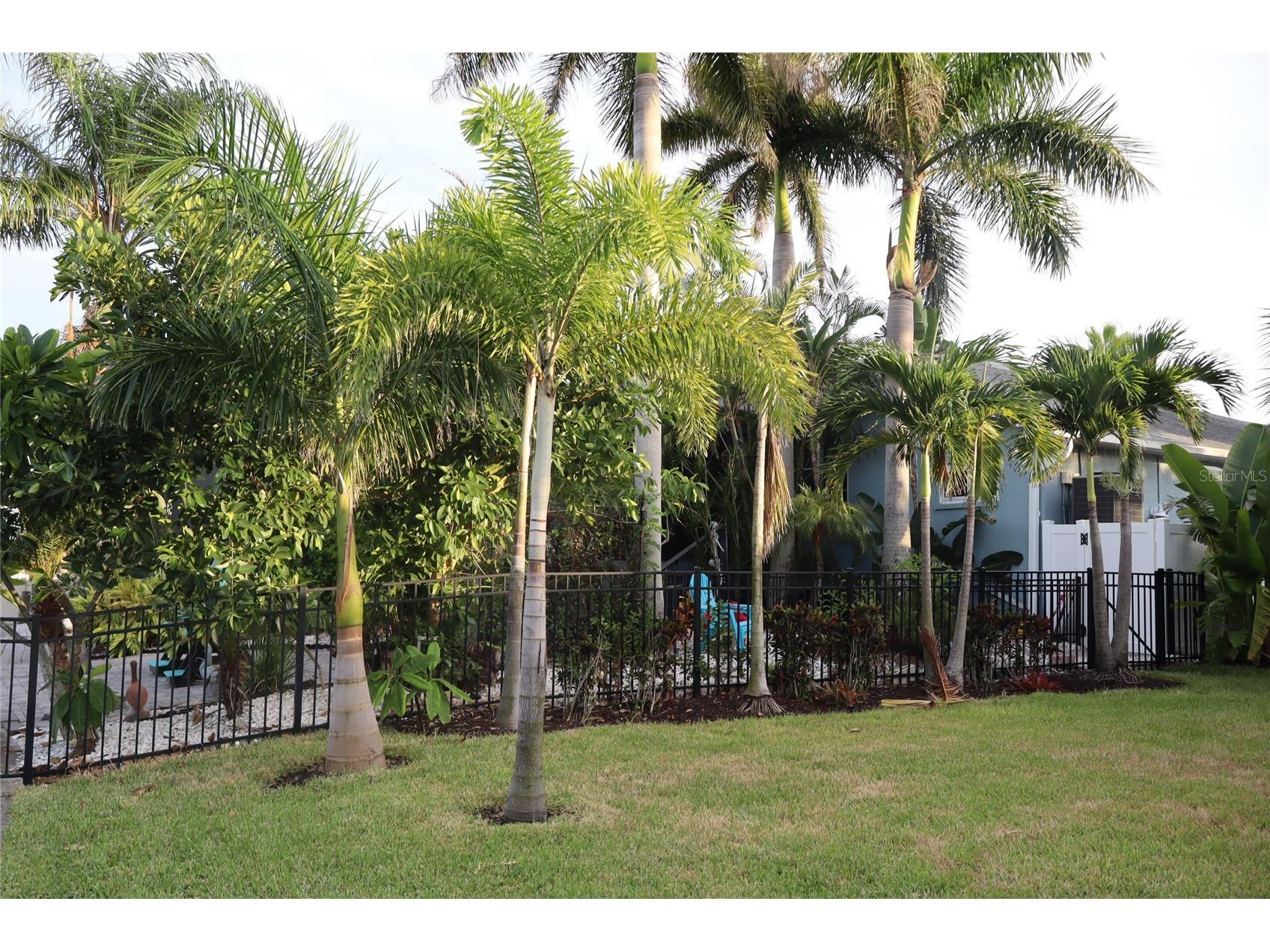1019 Spindle Palm Way Apollo Beach FL 33572 TB8514547 image71