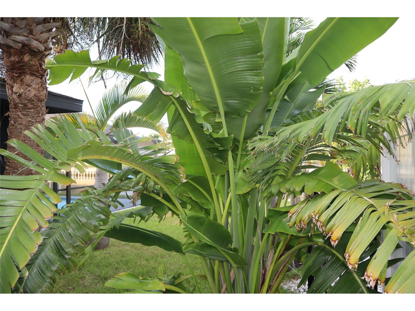1019 Spindle Palm Way Apollo Beach FL 33572 TB8514547 image77