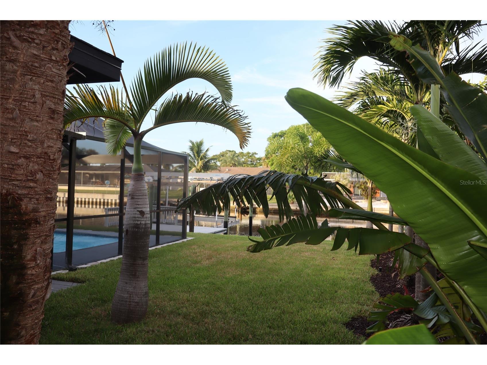1019 Spindle Palm Way Apollo Beach FL 33572 TB8514547 image78
