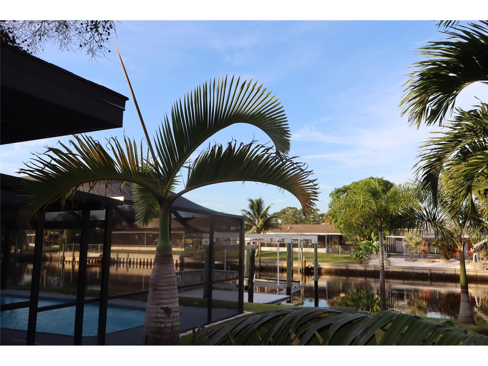 1019 Spindle Palm Way Apollo Beach FL 33572 TB8514547 image80