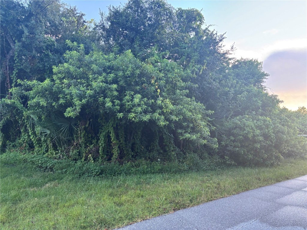 1019 Tropical Avenue NW Port Charlotte FL 33948 C7515938 image2