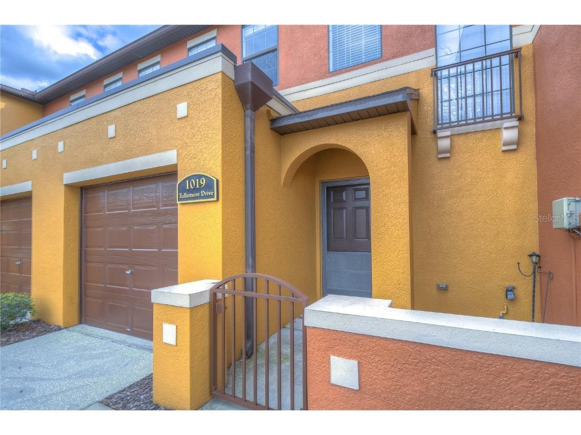 1019 Tullamore Drive Wesley Chapel FL 33543 T3505804 image1