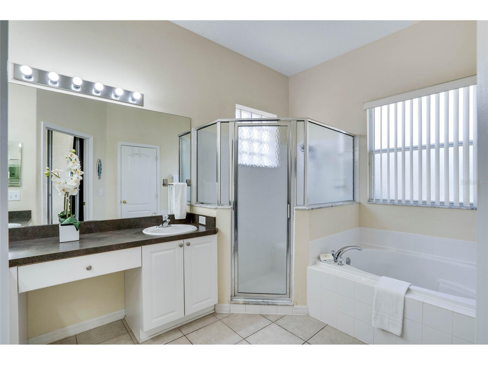 1019 Tuscan Hills Boulevard Davenport FL 33897 O6291347 image16