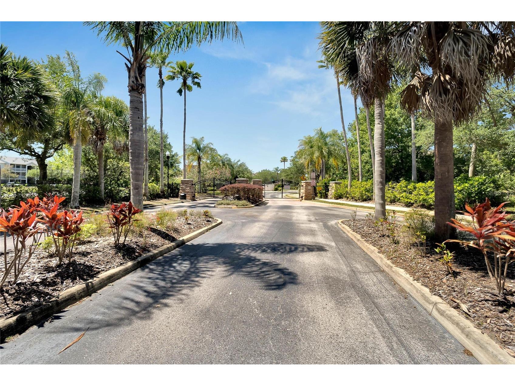 1019 Vista Cay Court Brandon FL 33511 TB8524009 image4