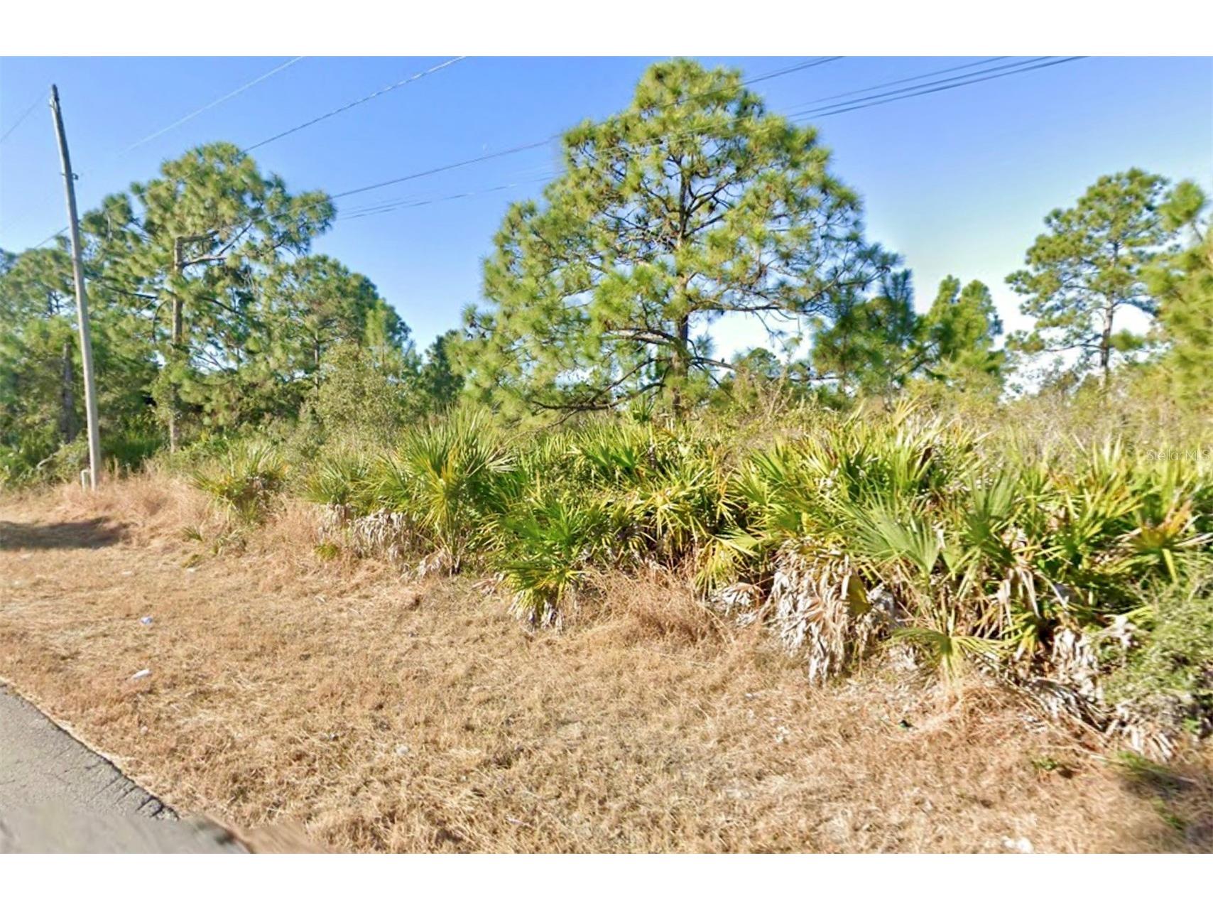 1019 Wagner Avenue Lehigh Acres FL 33972 TB8490962 image2