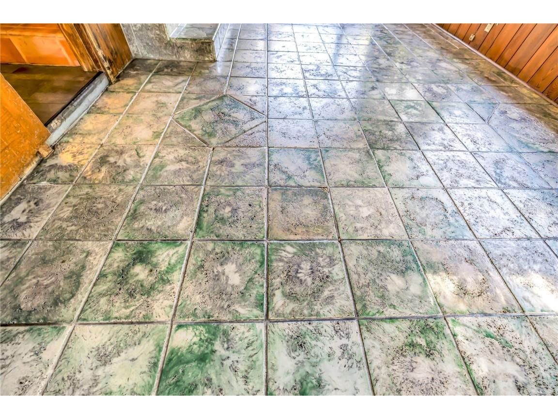 1019 Woodcrest Avenue Clearwater FL 33756 TB8456713 image29