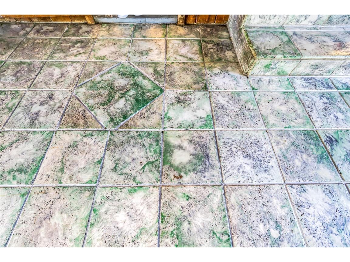 1019 Woodcrest Avenue Clearwater FL 33756 TB8456713 image30