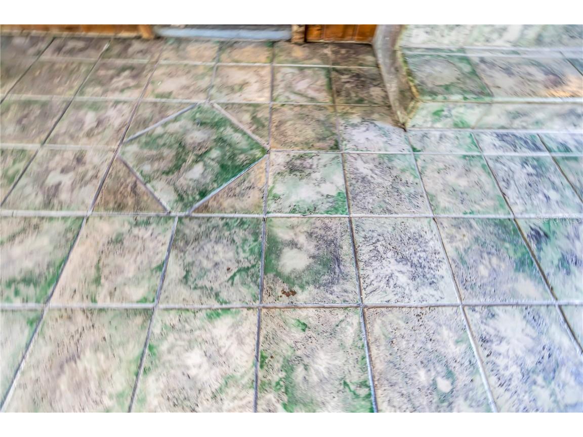 1019 Woodcrest Avenue Clearwater FL 33756 TB8456713 image31