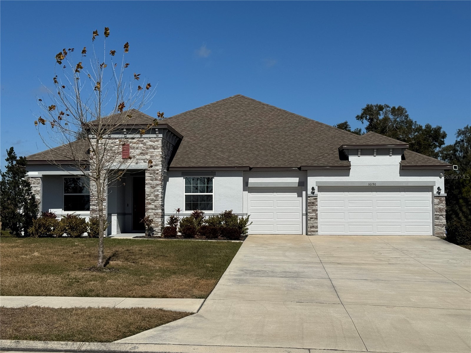 10190 Dolphin Gull Circle Thonotosassa FL 33592 TB8471267 image1