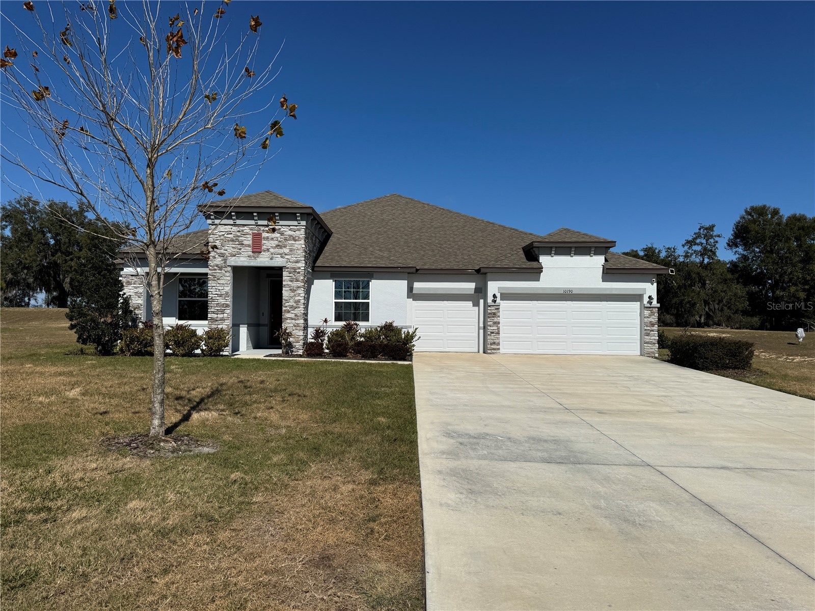 10190 Dolphin Gull Circle Thonotosassa FL 33592 TB8471267 image2