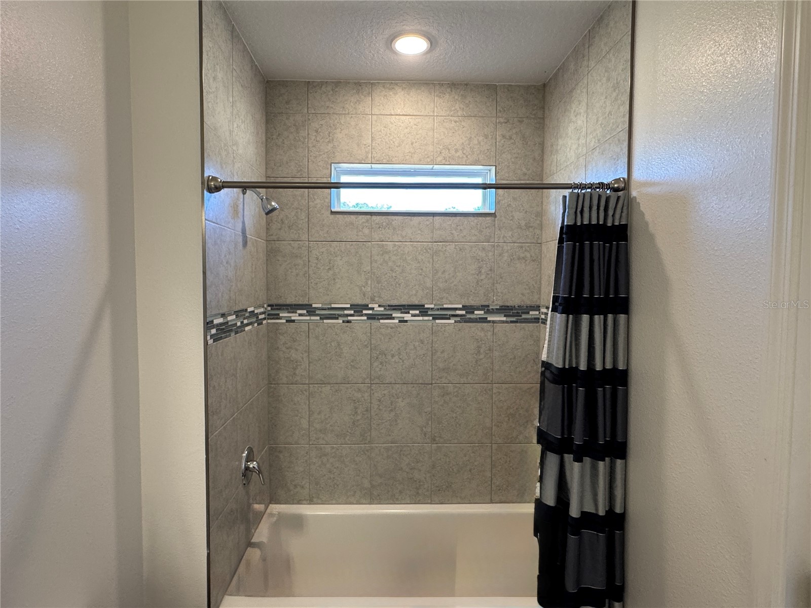 10190 Dolphin Gull Circle Thonotosassa FL 33592 TB8471267 image35