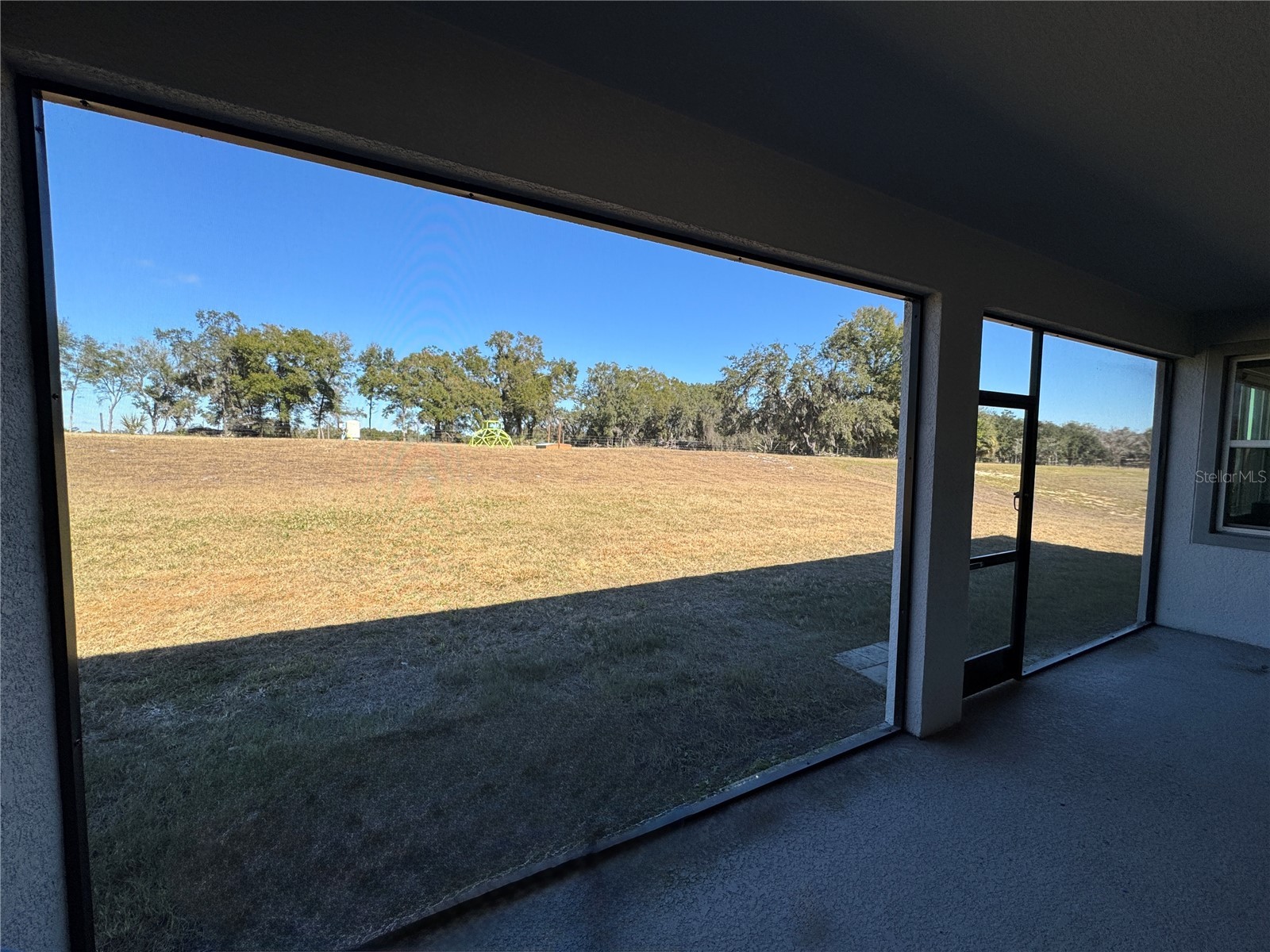 10190 Dolphin Gull Circle Thonotosassa FL 33592 TB8471267 image39