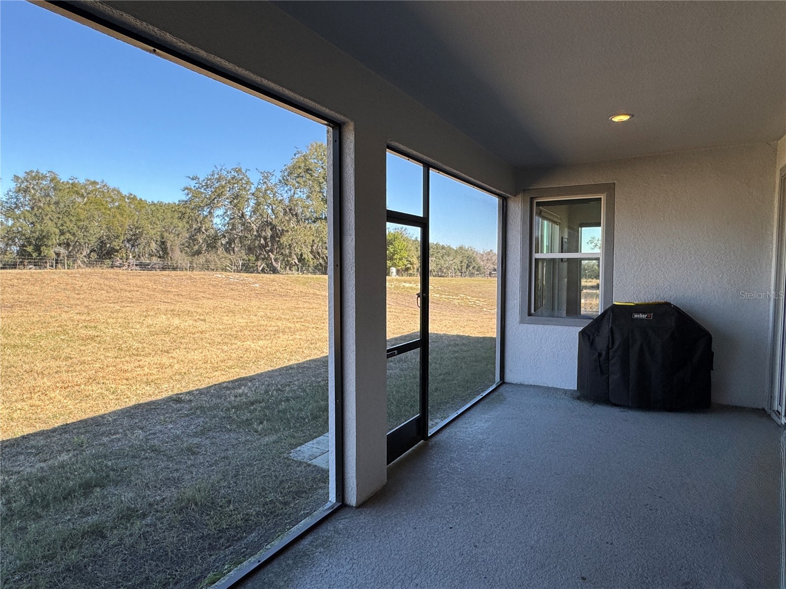 10190 Dolphin Gull Circle Thonotosassa FL 33592 TB8471267 image41