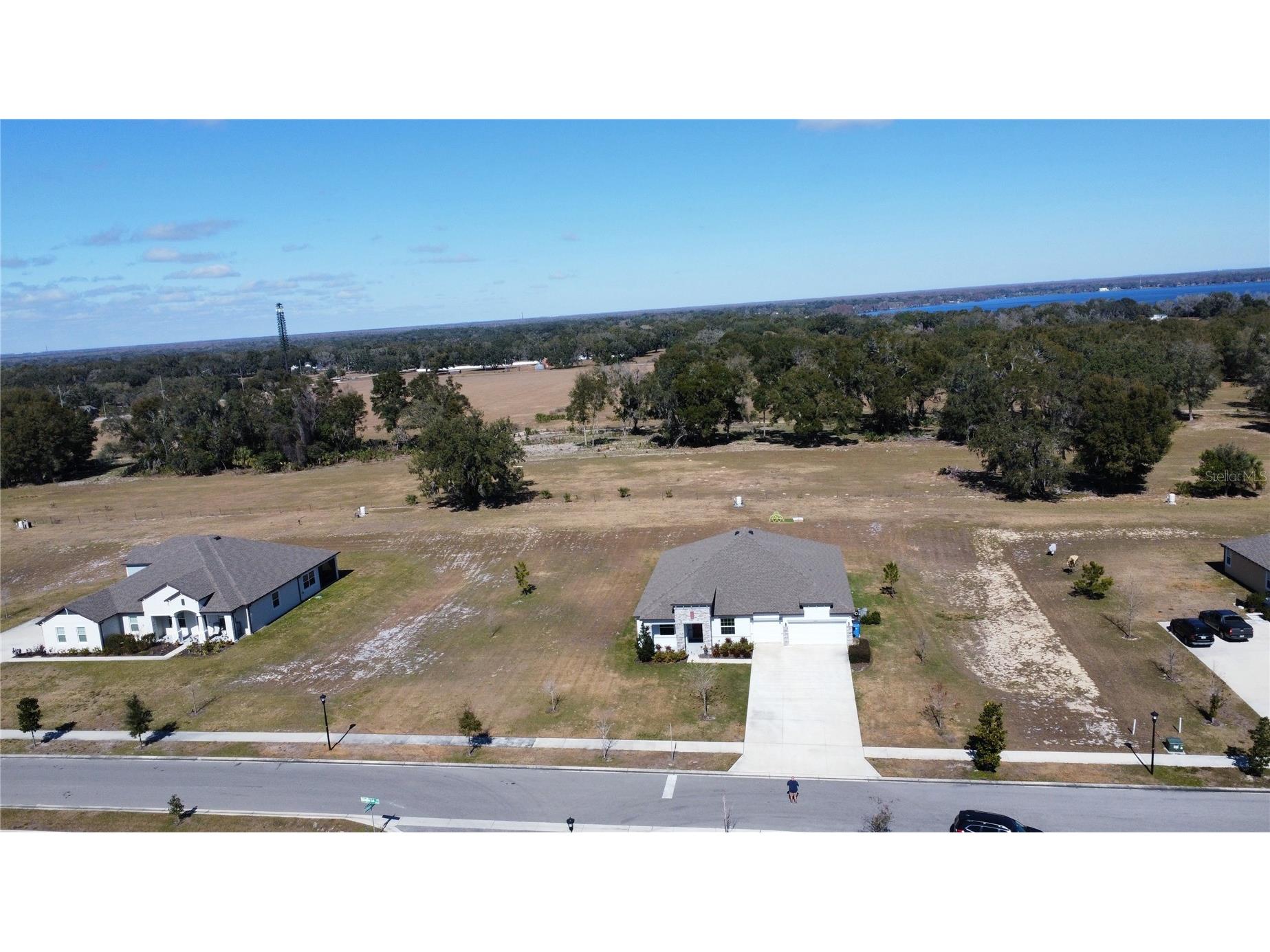 10190 Dolphin Gull Circle Thonotosassa FL 33592 TB8471267 image50